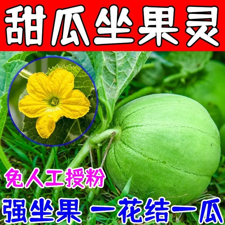 甜瓜座果灵甜瓜香瓜专用强力催花快速授粉提质增收授粉专用