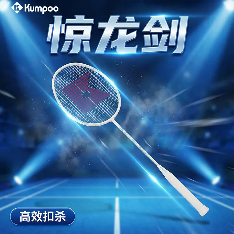 薰风惊龙剑正品新款羽毛球拍复合碳素纤羽拍初学超轻耐打训练