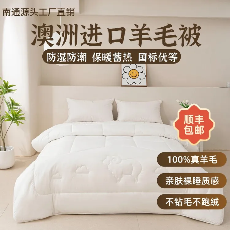 A类超柔亲肤上层填充100%澳洲纯羊毛被加厚保暖秋冬被芯舒适