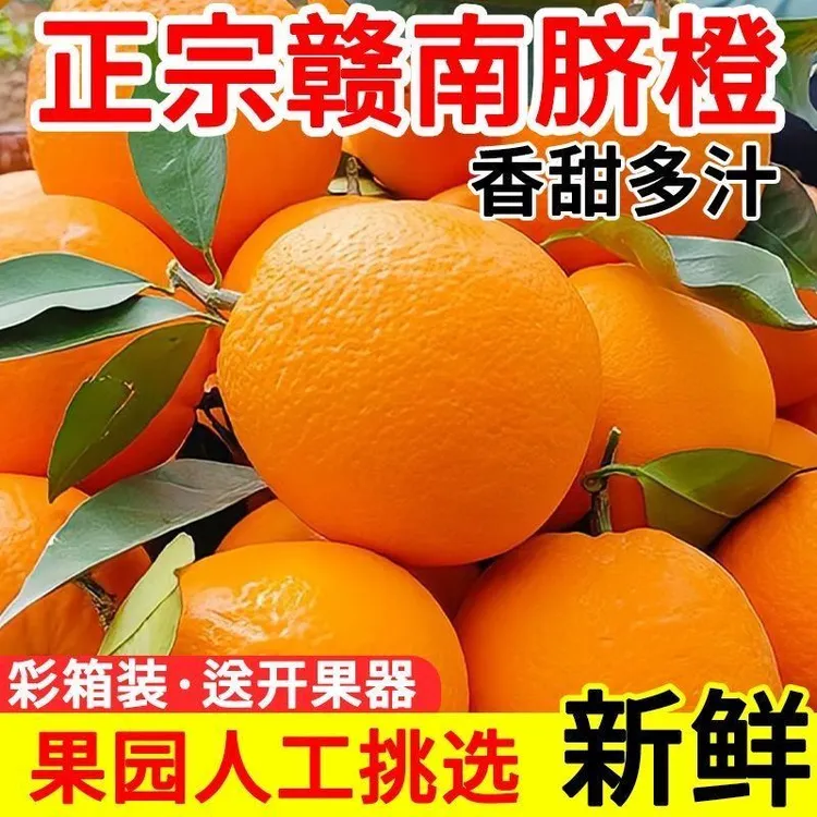 正宗赣南脐橙新鲜超甜薄皮橙子当季水果整箱10斤批发直发