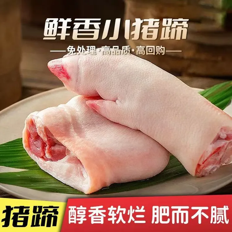 【顺丰包邮到手5只】正宗农家散养小香猪猪蹄5只整只冷冻发货