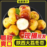 正宗陕西大荔冬枣产地直发甜枣脆枣自家果农现采现发脆甜爽口包邮
