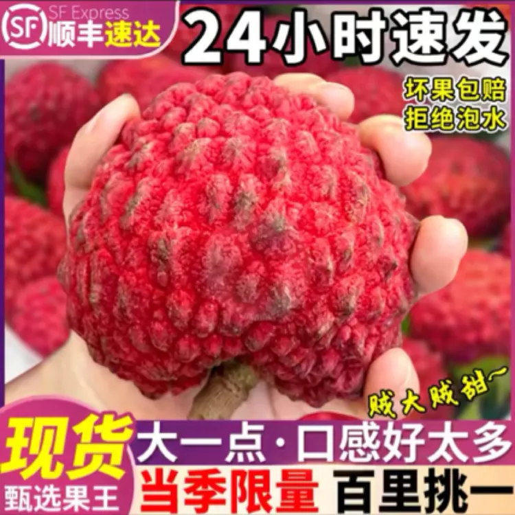 海南品种荔枝王新鲜当季现摘现发巨大果顺丰空运水果礼盒装