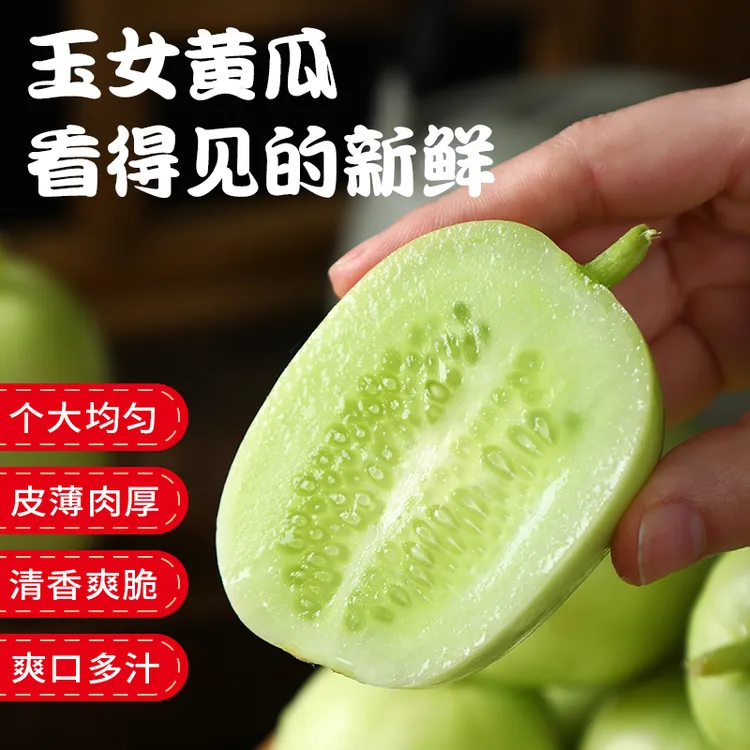 山东寿光金童玉女小黄瓜现摘现发拇指小黄瓜鲜脆爽口商品图