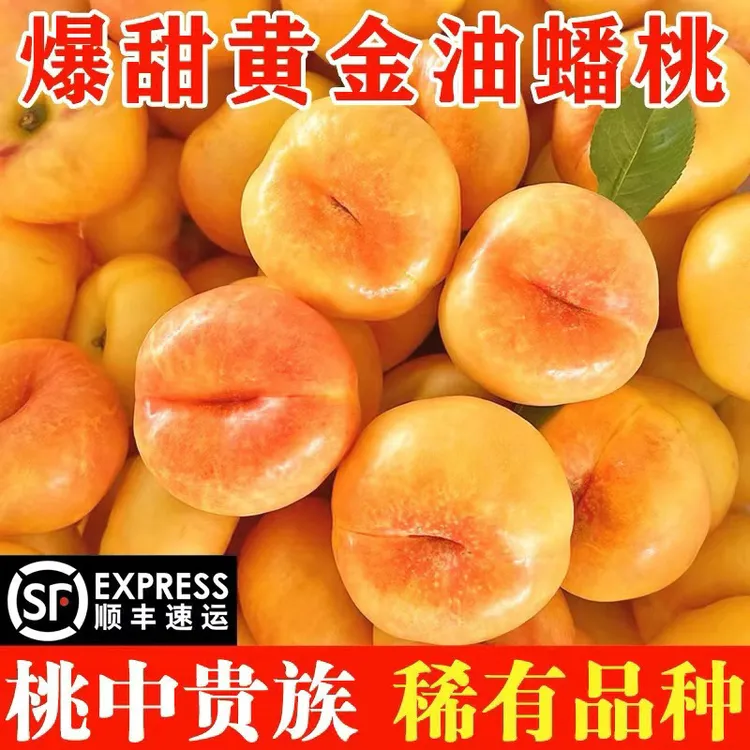 山东沂蒙山黄金油蟠桃脆甜爆汁蜜罐无毛油桃净重3/5斤