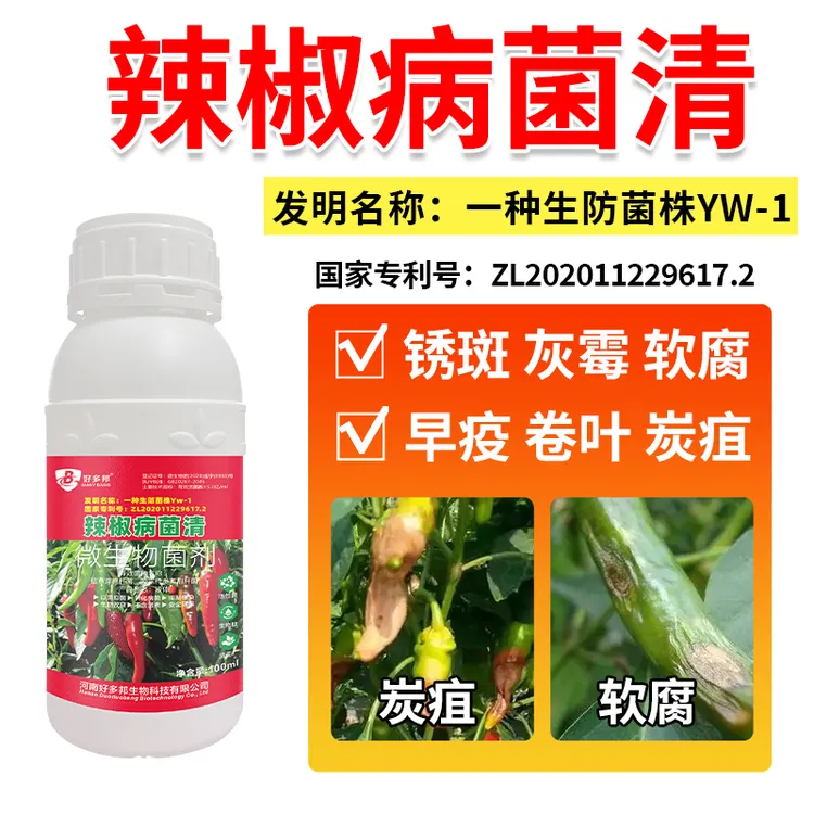 辣椒病菌清专利技术辣椒朝天椒螺丝椒灯笼椒炭疽花皮微生物菌剂