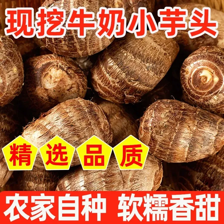 【净重5斤】2025年新鲜牛奶小芋头山东特产新鲜蔬菜可拉丝奶香软糯