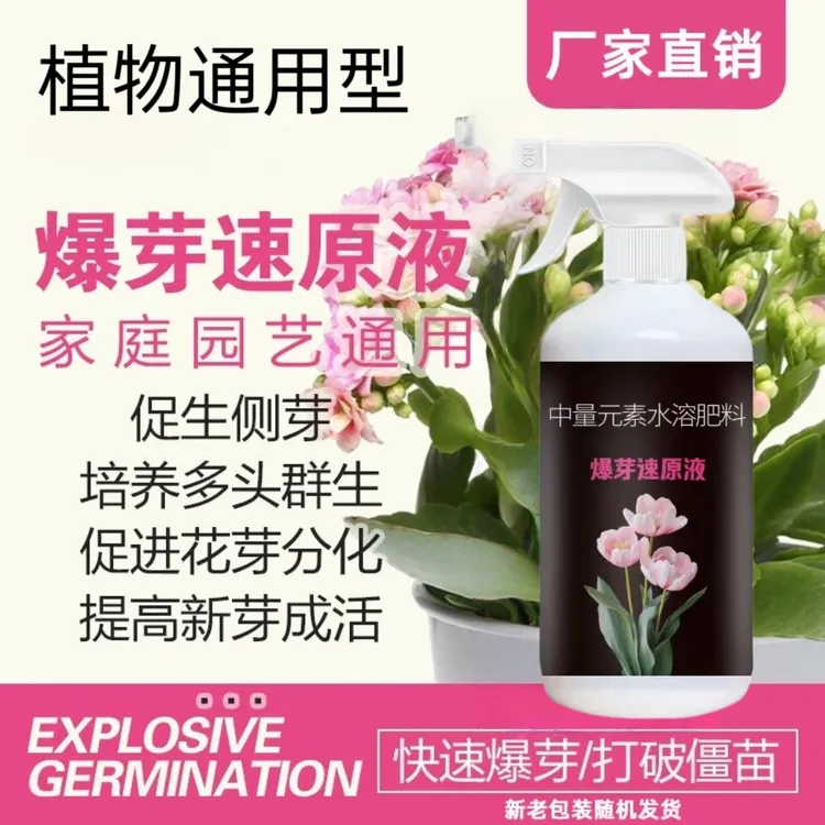 爆芽速原液植物多芽促芽催芽分化叶插花植物多肉绿植通用型复合肥商品图