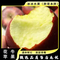 【散装】[Y]甘肃花牛苹果 份/净重4斤左右 仅太原晋中吕梁忻州可拍
