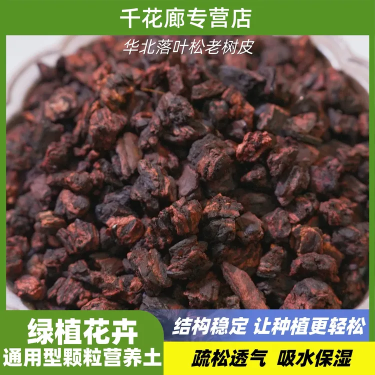 华北老松树皮养兰花蝴蝶兰土壤花店君子兰、兰科专用营养土防烂根