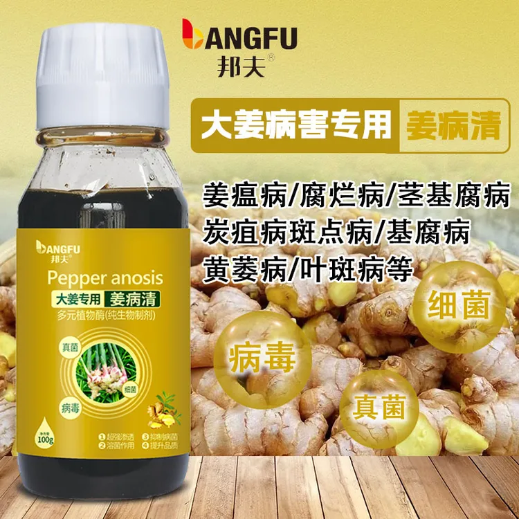 邦夫大姜姜病清复合有机微生物菌剂生姜专用叶面肥料
