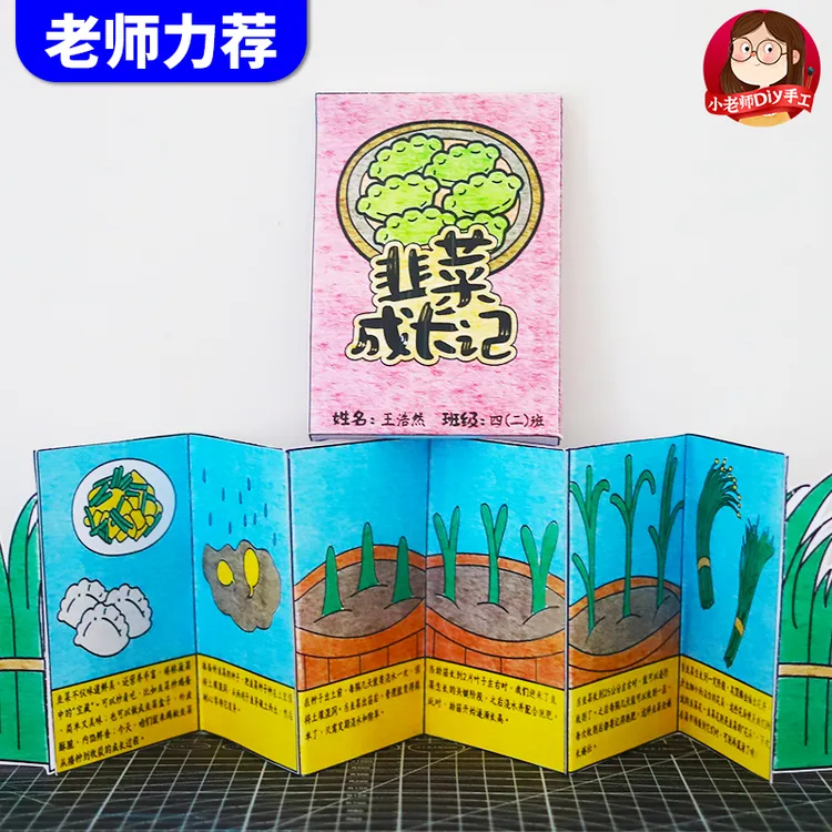 韭菜风琴折页绘本自然笔记植物生长记录手工diy蔬菜成长日记线稿