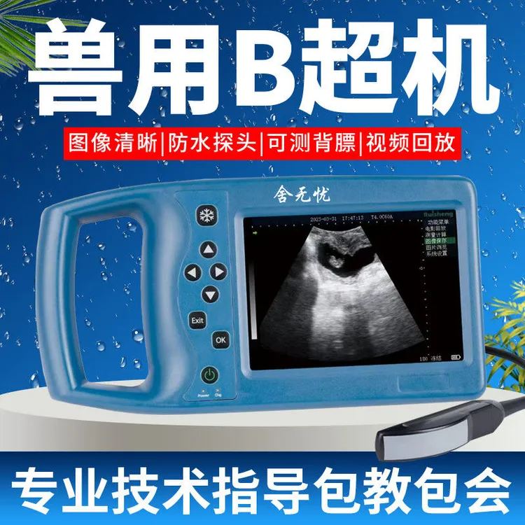 兽用B超猪B超动物b超牛羊猪测孕仪兽用b超探头畜牧养殖兽用b超