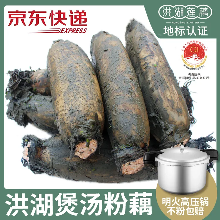 洪湖粉藕正宗莲藕煲汤粉藕三斤/五斤带泥中秋好礼湖北特产