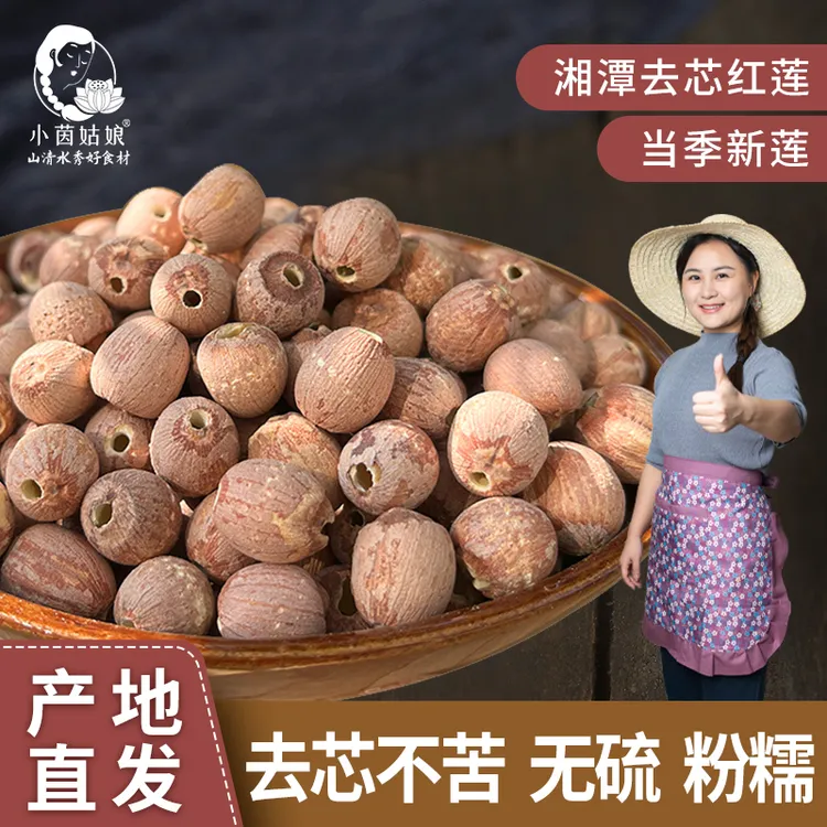 【小茵姑娘】湘潭一级去芯红莲子500g正宗新鲜莲子2025年新货莲子