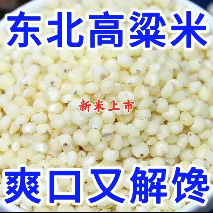 【到手5斤】东北特产去皮白高粱米新鲜粗粮营养丰富适合煮粥煮水饭