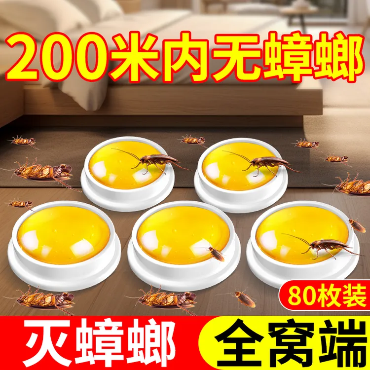 蟑螂药一窝全端非无毒室内家用强力杀虫剂饵灭蟑神器小黑飞虫克星