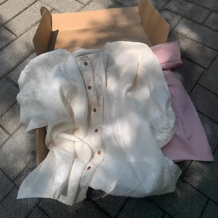 浅杏色甜美刺绣衬衣女2025年夏季薄款韩系宽松百搭短袖上衣ins