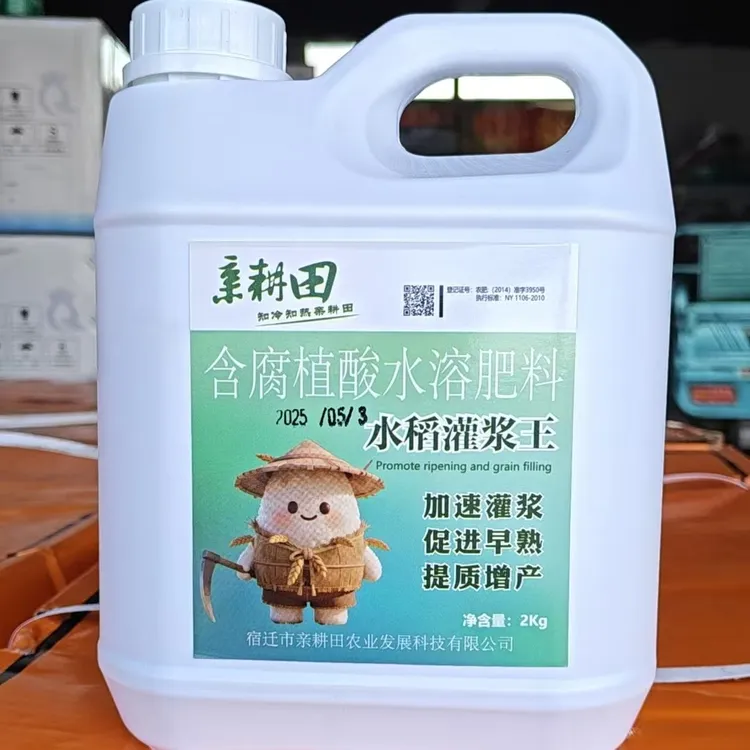 水稻灌浆王20亩/套:水稻顶部10个黄粒使用,提早一周收割,增产10%