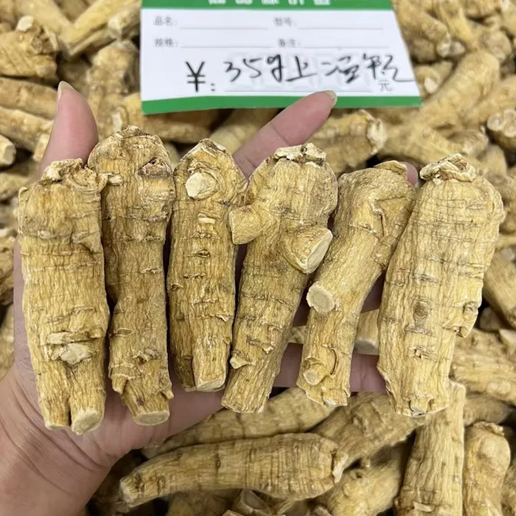 现货滋补养生批发西洋参整条西洋参足龄老参短粒条装花旗参批发