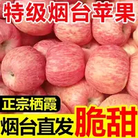 山东红富士正宗新鲜苹果产地直发新鲜水果包邮应季