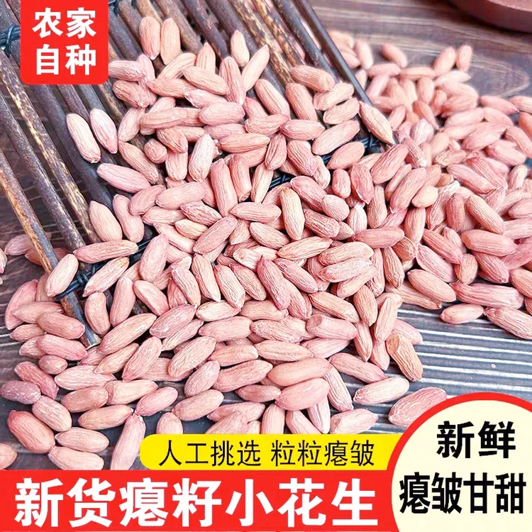 2025当季生瘪花生新货山东特产甘甜花生农家低油高饱腹秕子手工选