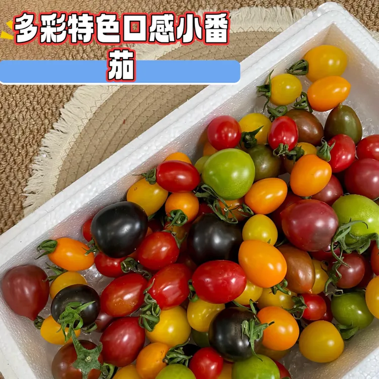 山东潍坊4到7色番茄小盲盒秋季新品-健康尝鲜口感丰富
