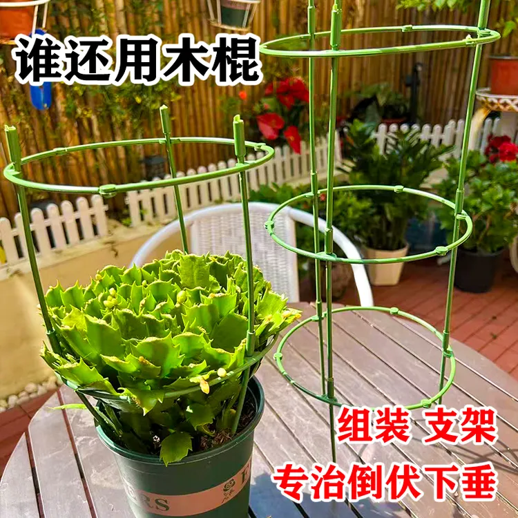 花卉组装支撑支架防止矫正器固定型下垂倒伏散苗耷拉绑丝绑带支