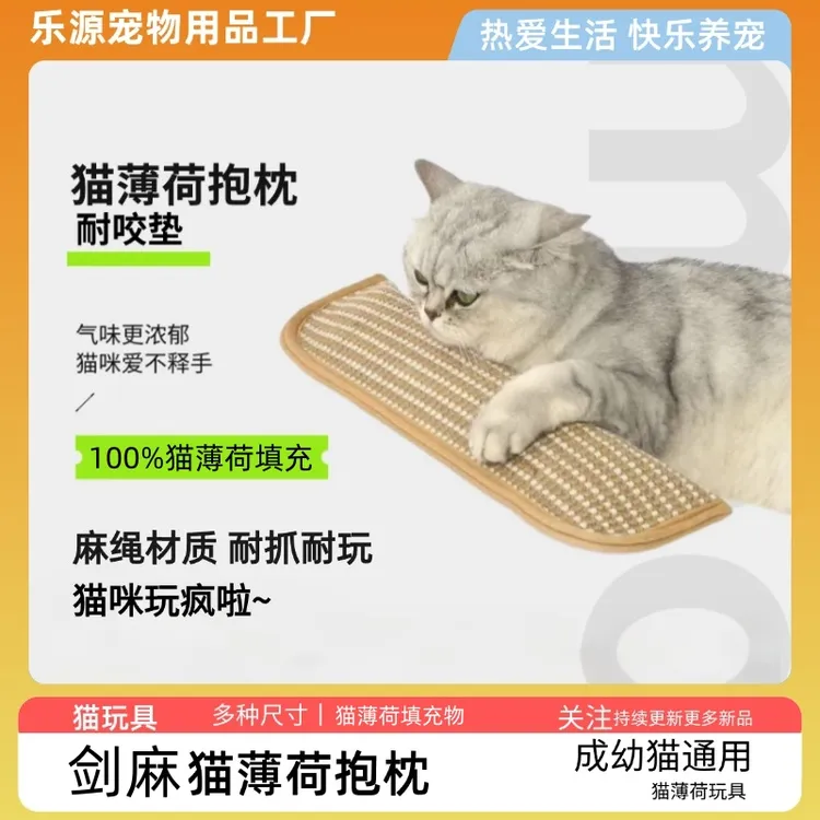 猫薄荷抱枕自嗨猫咪玩具可爱糖果猫咪玩具枕头耐咬耐抓麻垫 