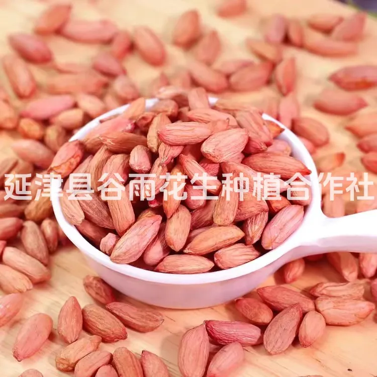 山东特产瘪花生米农家手工挑选瘪生花生米低油甘甜现脱壳秋季新货