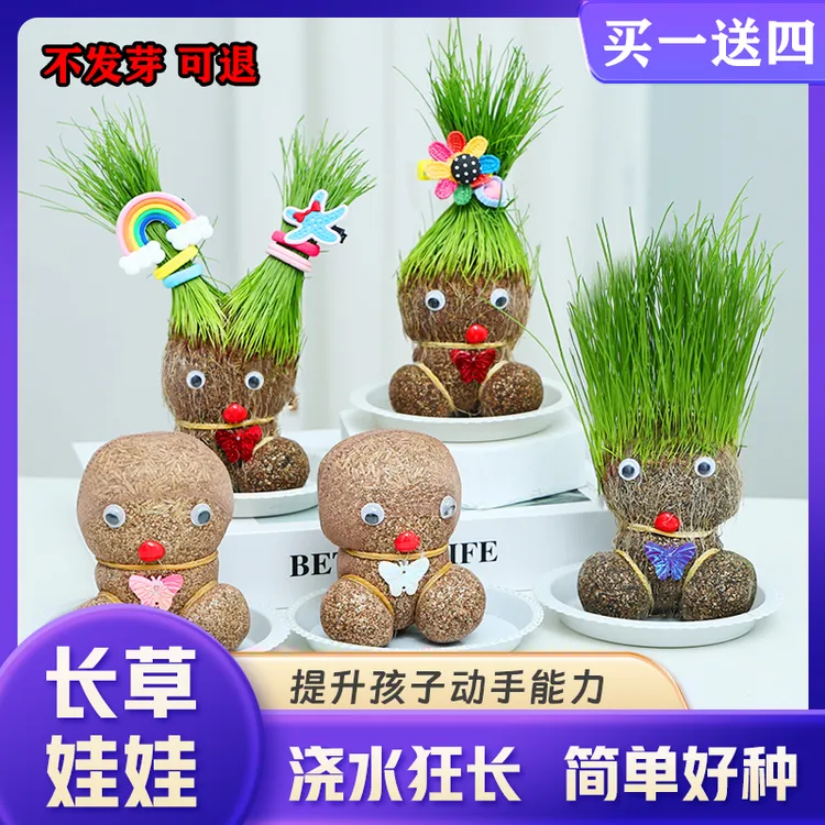 【买一送一】草头娃娃可爱小盆栽头上水培长草娃娃小植物迷你儿童