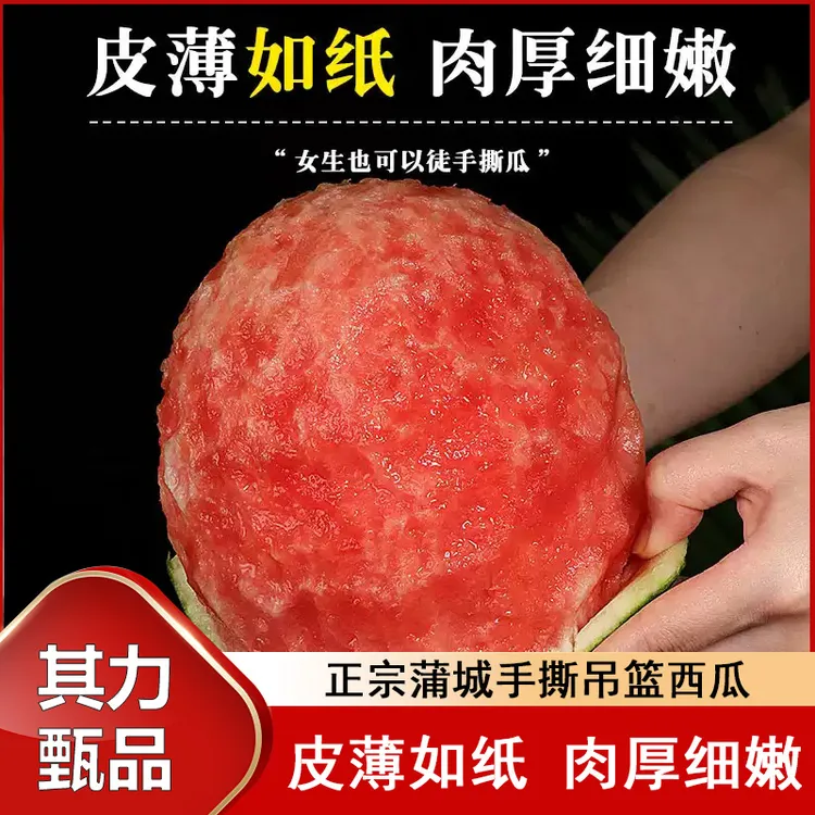 陕西蒲城吊篮西瓜头茬2K西瓜网红手剥小糖丸西瓜冰淇淋皮薄脆甜
