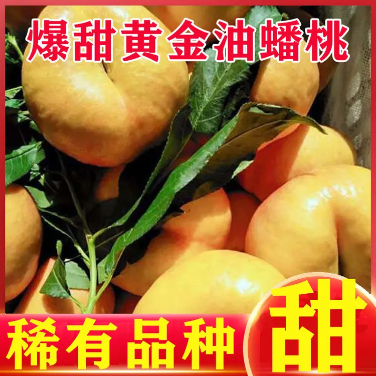 新鲜应季彩虹油蟠桃皮薄甜嫩多汁现摘现发包邮