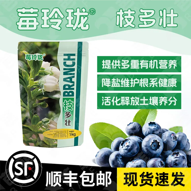 莓玲珑枝多壮水溶赋活根系背上枝多地生枝壮增强生长新枝条壮枝