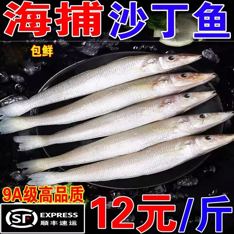 沙丁鱼深海鱼新鲜冷冻小银鱼鲜活海鲜水产烧烤食材面条鱼无小刺