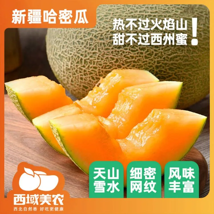【漠叔专属】西域美农 新疆西州蜜哈密瓜5-11斤 产地新鲜直发顺丰
