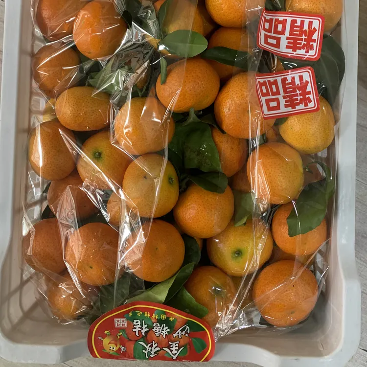 金秋新鲜采摘沙糖桔