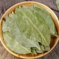 新货头茬香叶火锅卤料炖肉炒菜饭店批发专用调味料新鲜香料家用