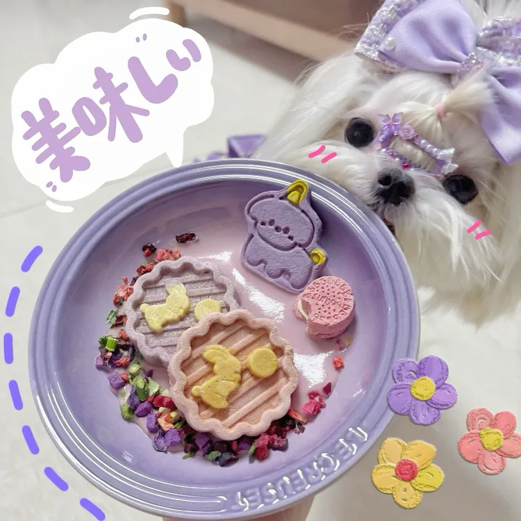 【宠物中秋月饼】宠物月饼礼盒装鸡肉中秋月饼冻干猫咪狗狗零食礼盒