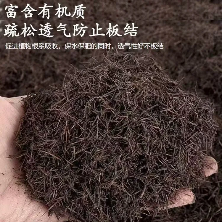 发酵花土纯松针腐熟营养土奶糖君子兰松针土纯松针腐熟松针