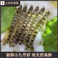 【新鲜小九节虾】上街弟推荐肉质鲜甜多规格福州发货保鲜不保活