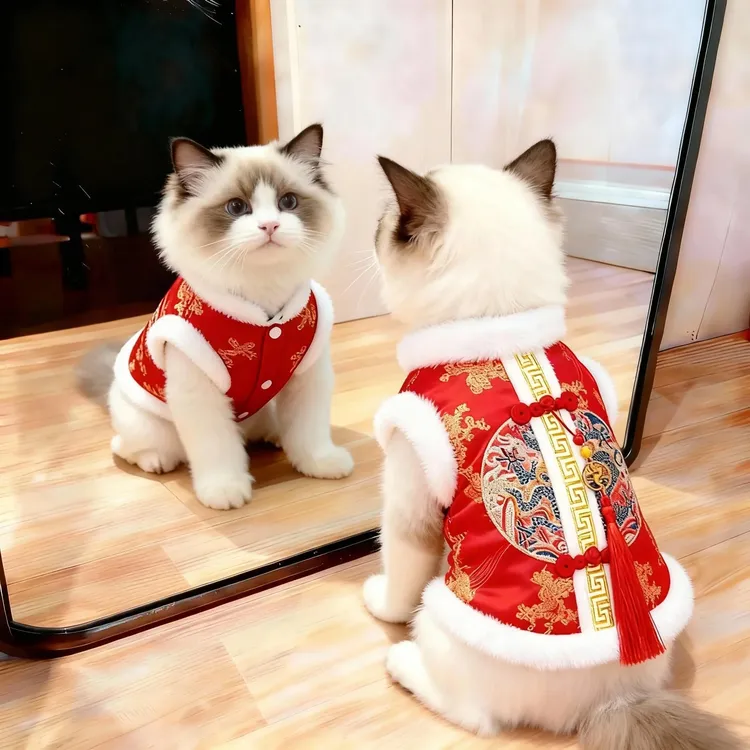 猫咪衣服新年刺绣唐装喜庆宠物服装比熊泰迪猫咪衣服冬季保暖加厚