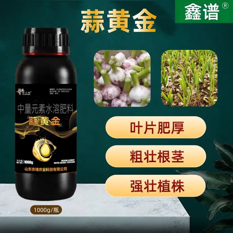 蒜黄金蒜菌清原液胖大蒜生姜种植专用生根养根补充营养水溶肥料