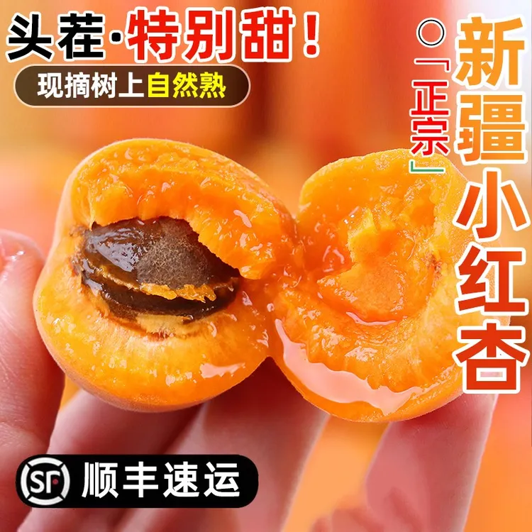 【沙漠蜂蜜】正宗新疆小红杏5斤整箱新鲜吊干杏当季甜杏子鲜水果