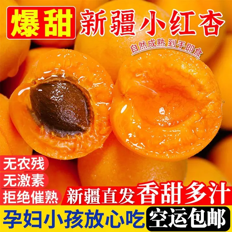 【新疆空运直发】正宗新疆四团小红杏纯甜无酸当季水果一杏两吃