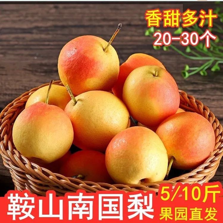 【辽宁特产】正宗鞍山老树南果梨南果梨老品种南果梨九龙湖产地直发
