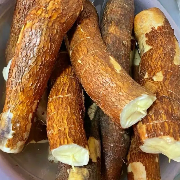 [特价秒杀]广东新鲜现挖黄肉黄心木薯粉糯糖水木薯羹板栗款现挖