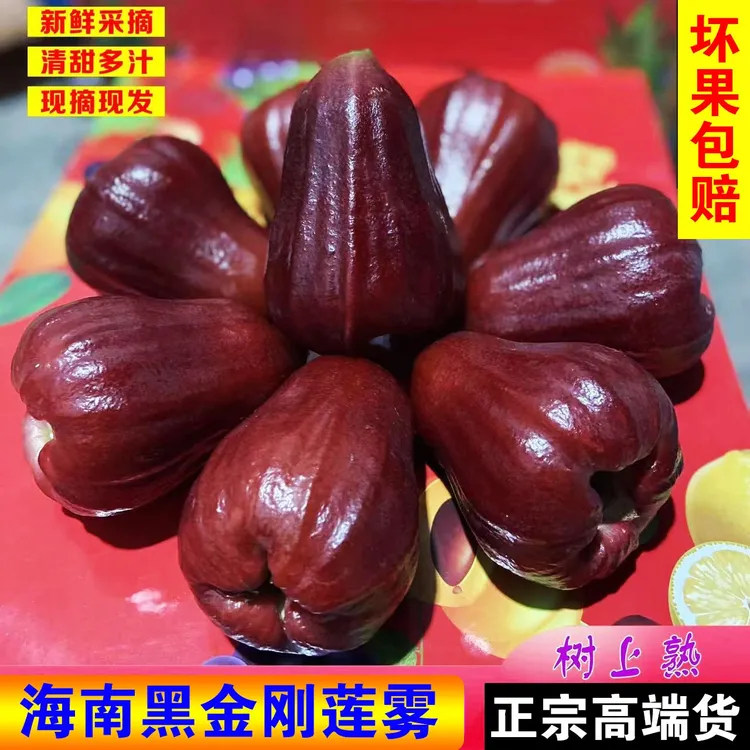 【顺丰包邮】海南黑金刚莲雾清甜多汁新鲜水果精选大果热带特产清脆