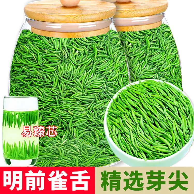 正宗雀舌茶叶2025明前新茶春茶贵州毛尖湄潭嫩芽高山云雾散装茶叶