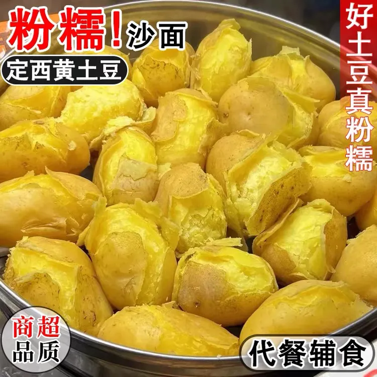 【璐璐】甘肃定西现挖马铃薯沙面粉糯新鲜精装黄心粗麻皮土豆